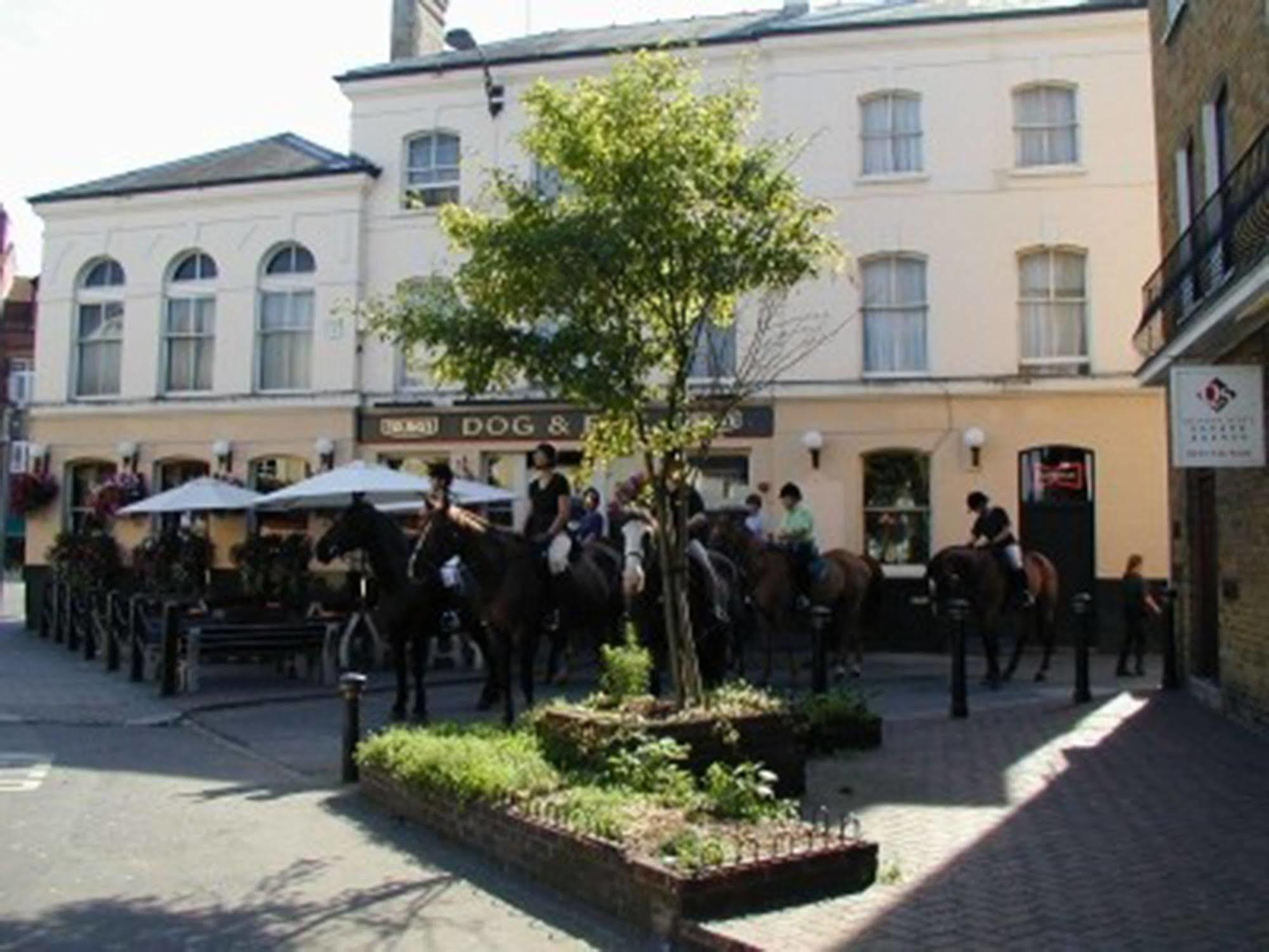 Lovely Garden Apartment In Wimbledon Town Centre With Private Parking By Wimbledon Holiday Lets Λονδίνο Εξωτερικό φωτογραφία
